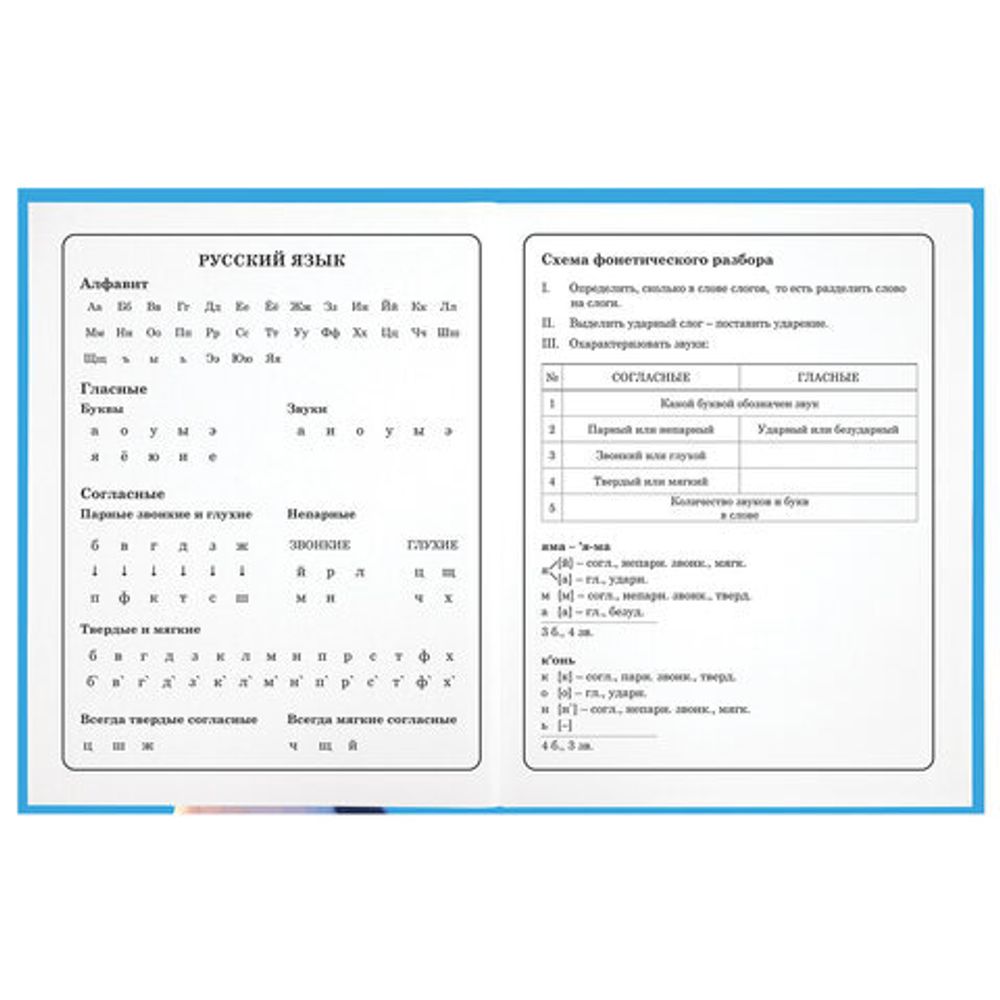 Дневник 1-4 класс 48 л., твердый, ЮНЛАНДИЯ, глянцевая ламинация, с подсказом, "Котик", 107147