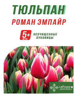 Тюльпан Луковица, Роман Эмпайр, 5+ шт
