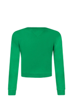 Худые MONOTYPE SWEATSHIRT Tommy Hilfiger - зеленый(KG0KG07887)