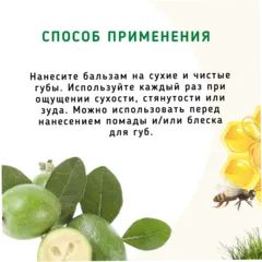 Бальзам для губ «Фейхоа и эвкалипт» с пчелиным воском/5 мл Бальзам для губ «Фейхоа и эвкалипт» с пчелиным воском/5 мл