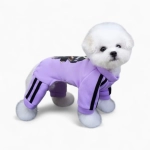 Спортивный костюм «Лабубу»