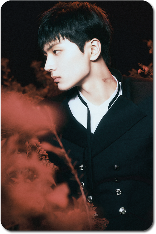 Карта / ENHYPEN #034