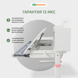 Письменный стол для школьников Ergokids Bravo Max Plus