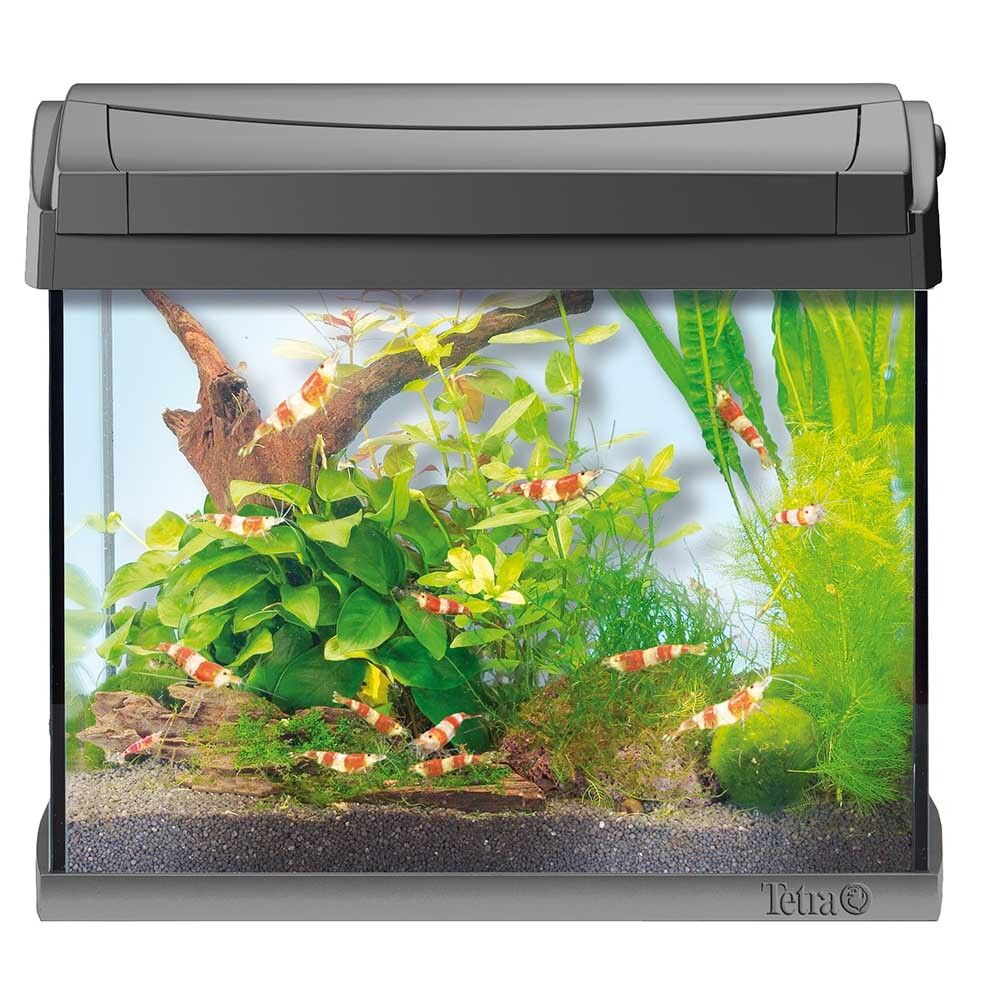 Tetra AquaArt Shrimp LED 20 л (серый) - прямоугольный аквариум с LED светом и фильтром для креветок