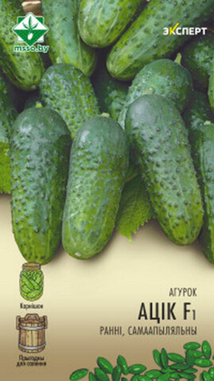Огурец "Атик F1" 10шт, Нидерланды.