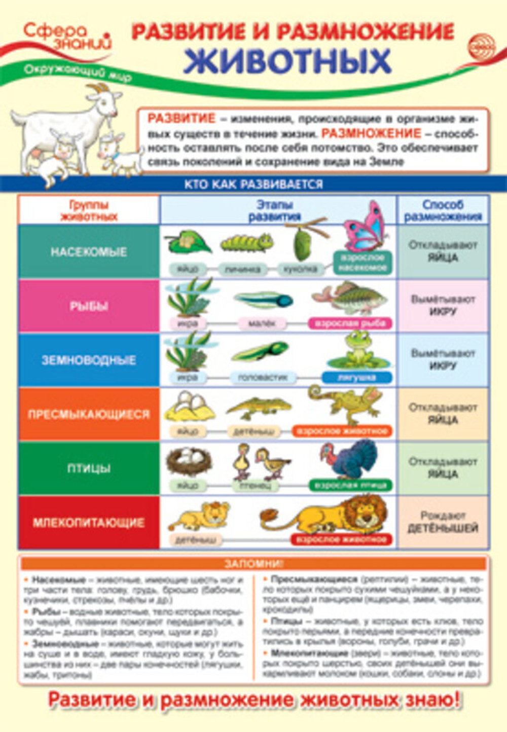 Плакат 23*42см "Окружающий мир в начальной школе. Развитие и размножение животных"