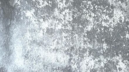 Велюр Джес 39 светло-серый