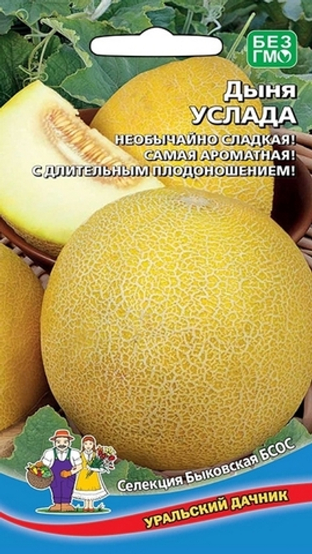 Дыня "G. Услада" 10шт., Россия.
