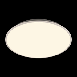 10226 White Потолочный светильник LOFT IT Brim