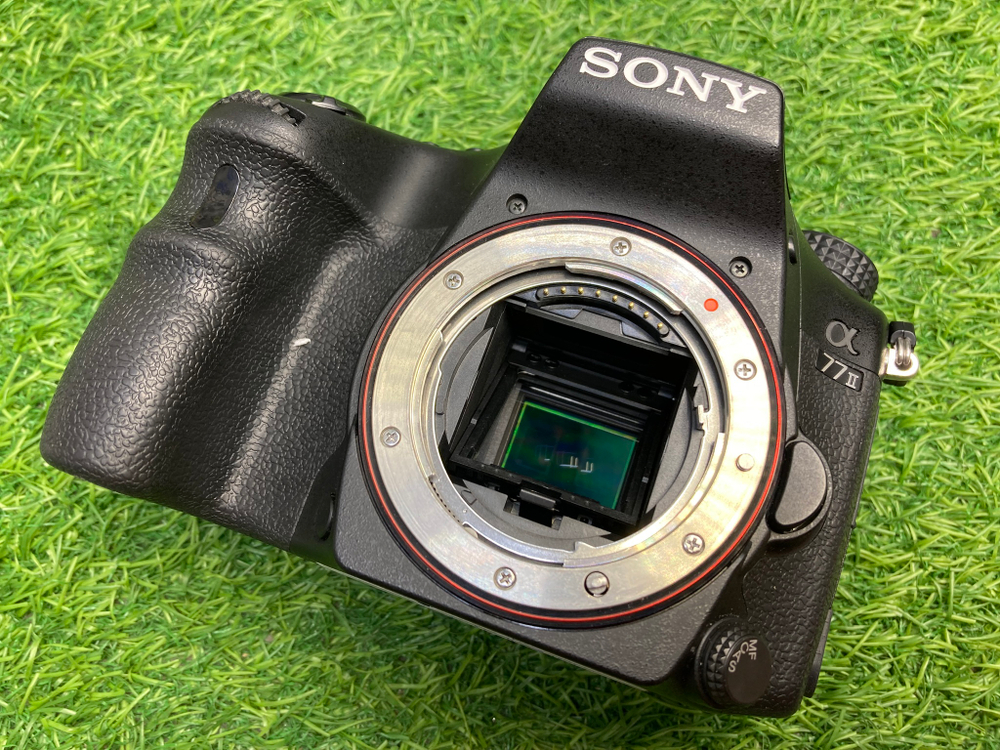 Sony A77 II (8000 кадров)