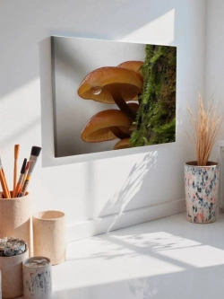 Картина на стену 40 X 50 Грибы