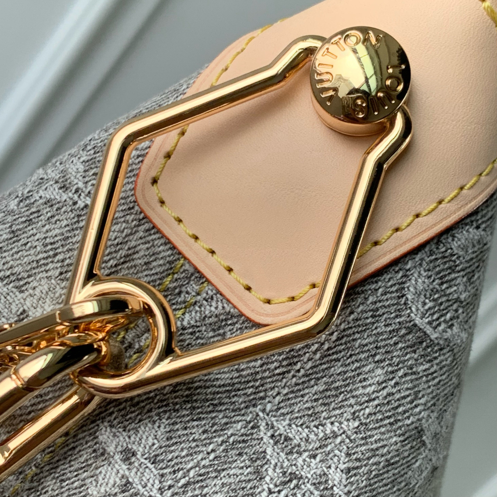 Louis Vuitton Coussin Hobo MM