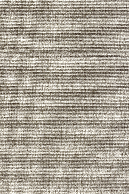 Ковровое покрытие AW Invictus Levinus 90А