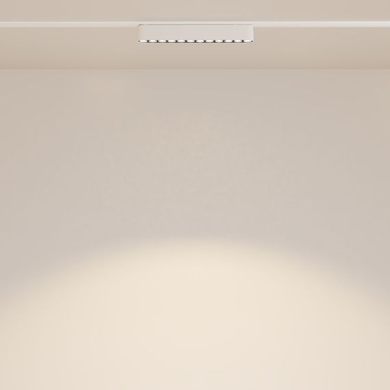 Трековый светодиодный светильник Maytoni Technical Radity Points TR082-1-12W3K-M-W