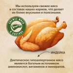 Сухой корм PRIME EVER Fresh Meat Kitten для котят, индейка с рисом, 370 г