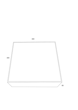 Потолочный светильник Technical C067CL-L40W4K