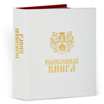 Родословная книга "Свадебная" кож. зам. (подар. упак)