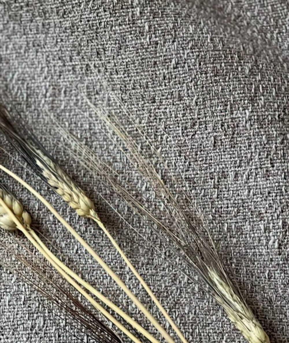 Рогожка Mys / Мис