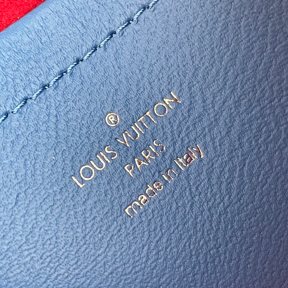 Louis Vuitton Pochette Coussin