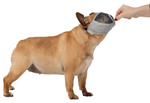 Намордник для собак Trixie Muzzle, размер XS-S, серый