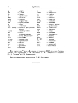 Деревья и кустарники СССР. Том 5 Миртовые, маслиновые | С.Я. Соколов