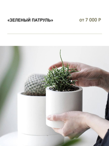 "ЗЕЛЕНЫЙ ПАТРУЛЬ"