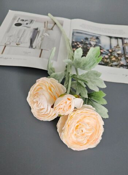 Ранункулюс / Арт 2347