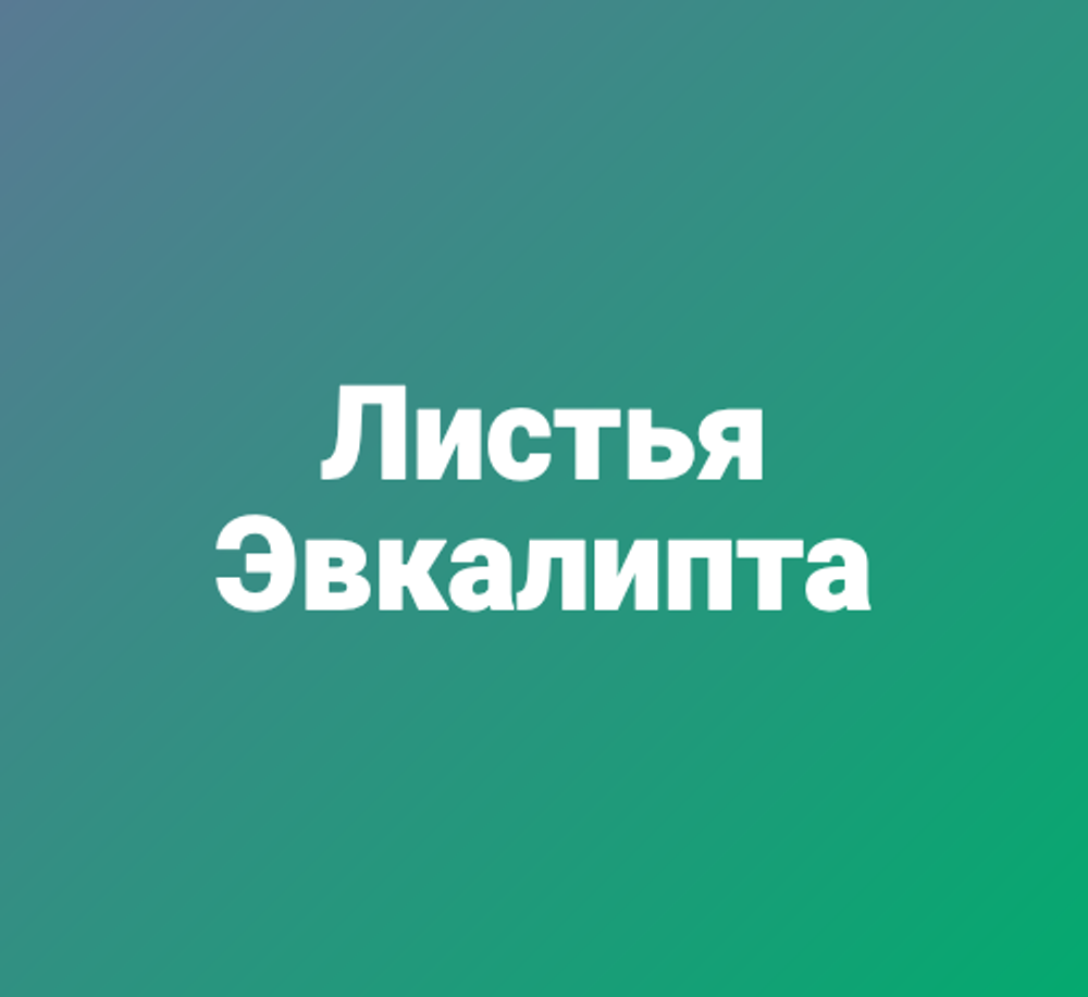 Листья Эвкалипта