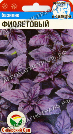 Базилик Фиолетовый Сиб.сад Ц