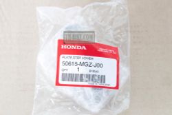 50615-MGZ-J00. PLATE, STEP LOWER