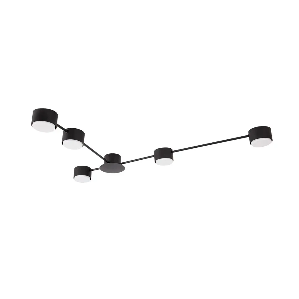 Потолочная люстра Arte Lamp TRACY