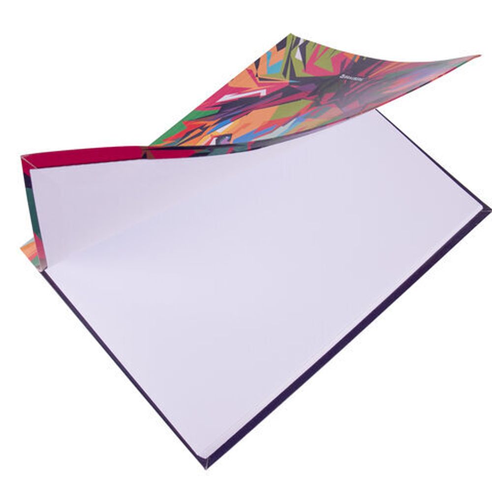 Дневник 5-11 класс 48 л., гибкая обложка, BRAUBERG, глянцевая ламинация, с подсказом, "Lion", 106386