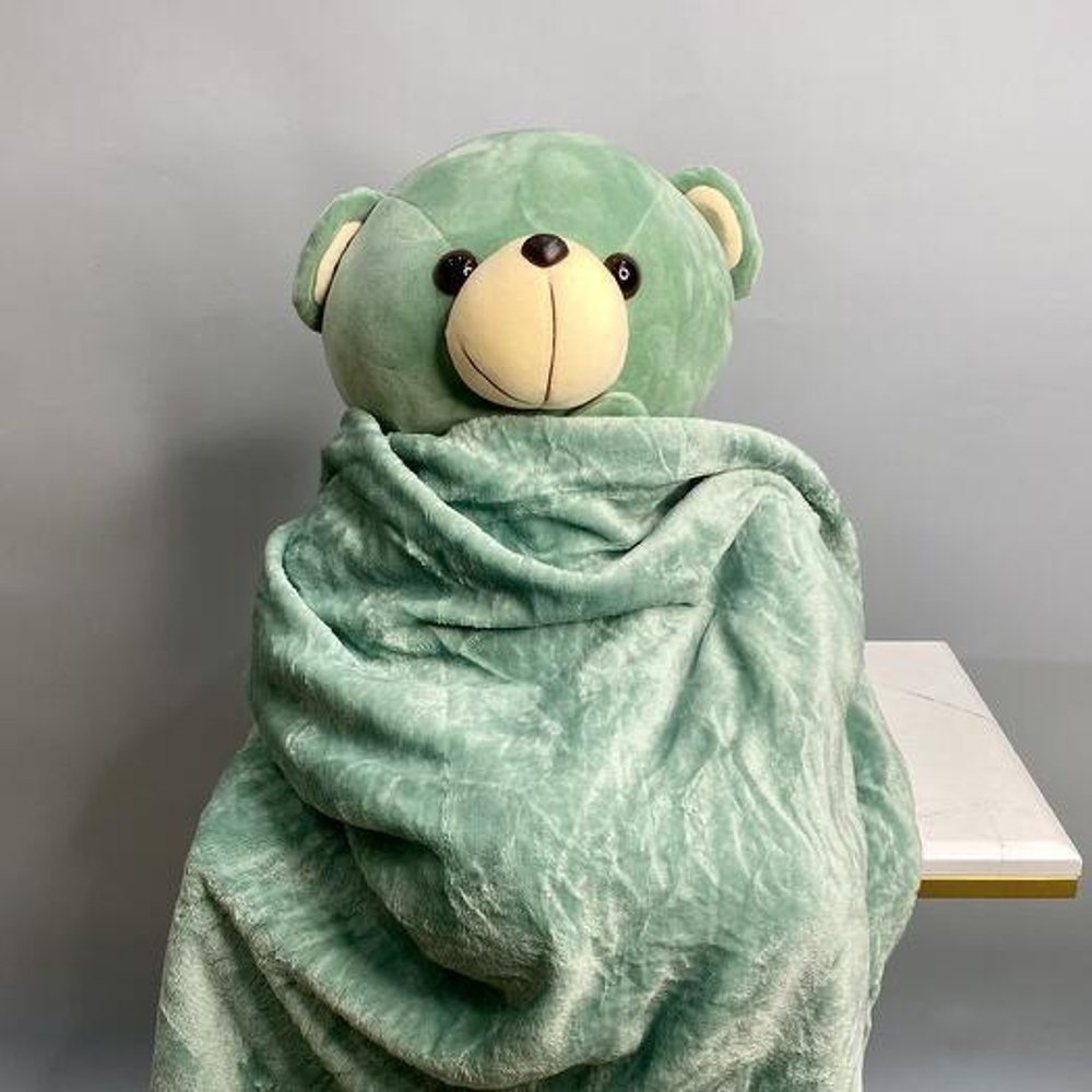 Мишка с пледом. Плед 100x160 см. Мягкая игрушка 005 Chalet Green