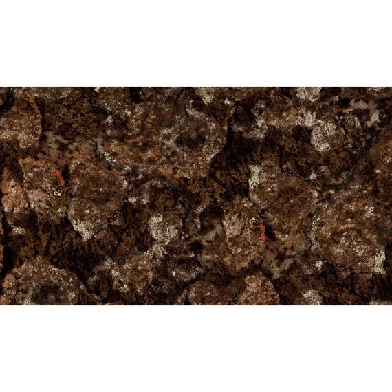 Гидрокостюм Beuchat Rocksea Competition - Trigocamo Wide 5 мм