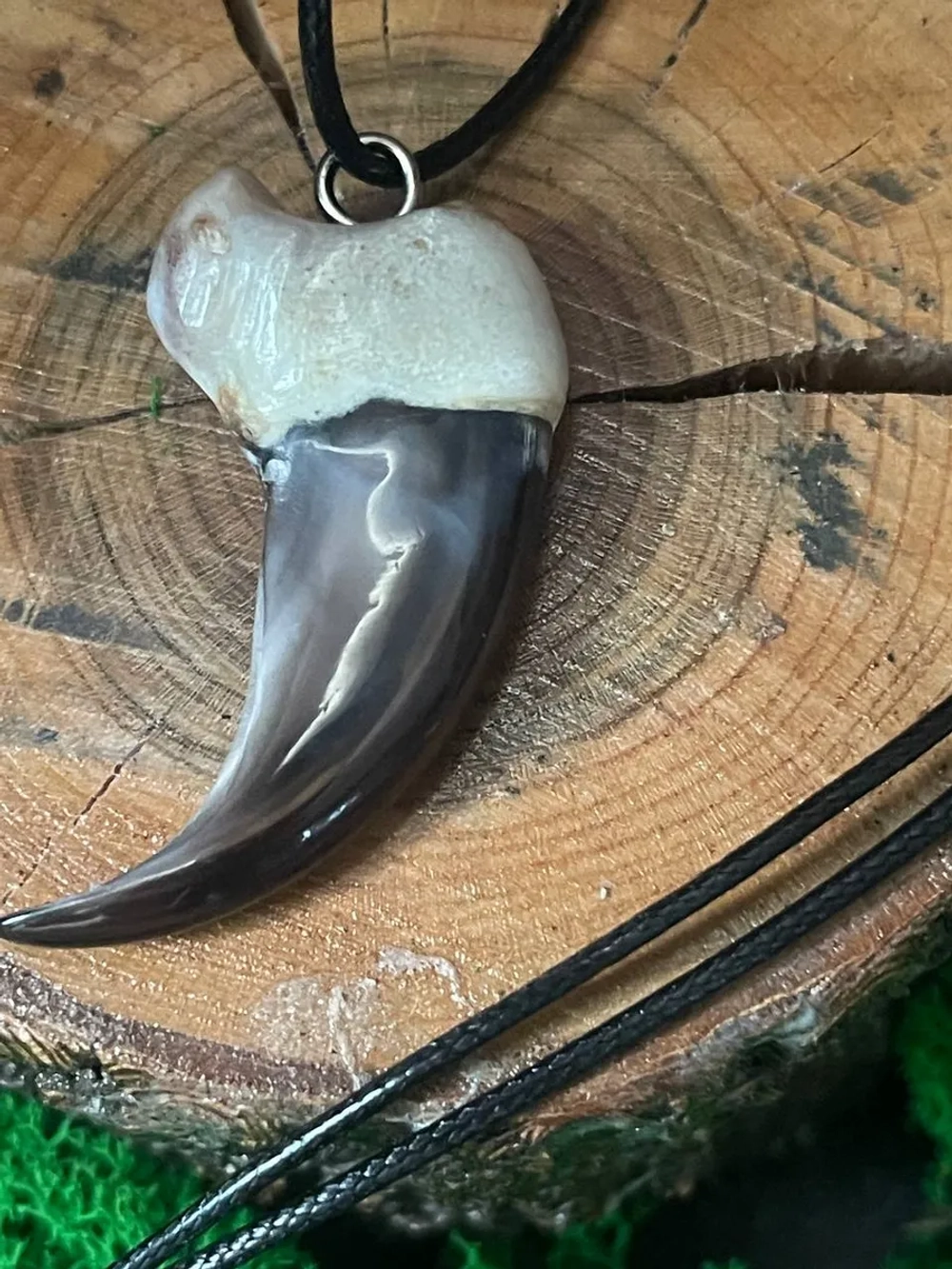 Амулет Коготь Медведя