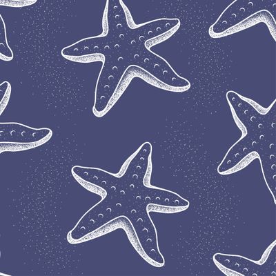 Морские звезды на темном