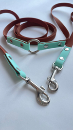 Перестежка поводок для собак средних и мелких пород , 15 мм, 3 м. Коричневый и мята