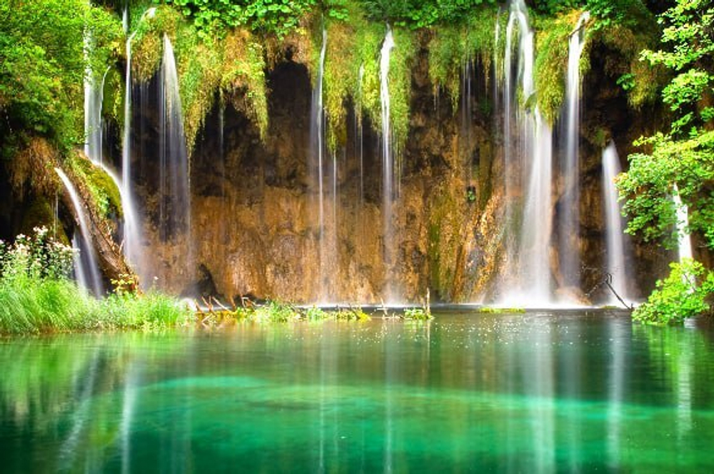Природа 2 №12 Фотообои и Фрески ручной работы