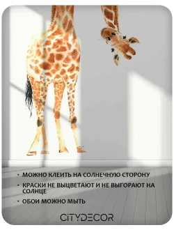 Фотообои Citydecor Детская 113 300x260 см (флизелиновые с виниловым покрытием)