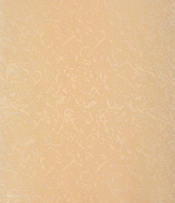 Рулонные шторы Фрост Бежевый