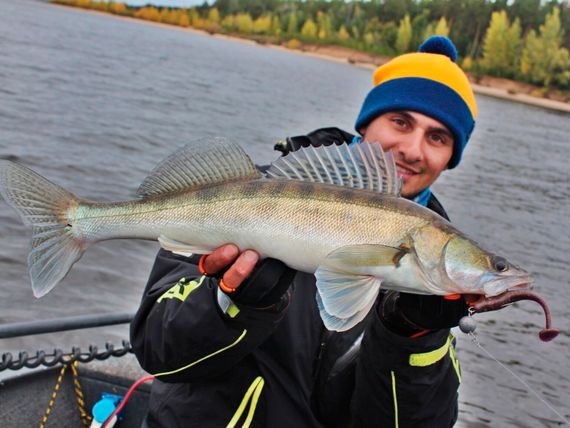 Виброхвосты съедобные LJ Pro Series MINNOW 5.5in (13,9 см), цв. S13, 4 шт.