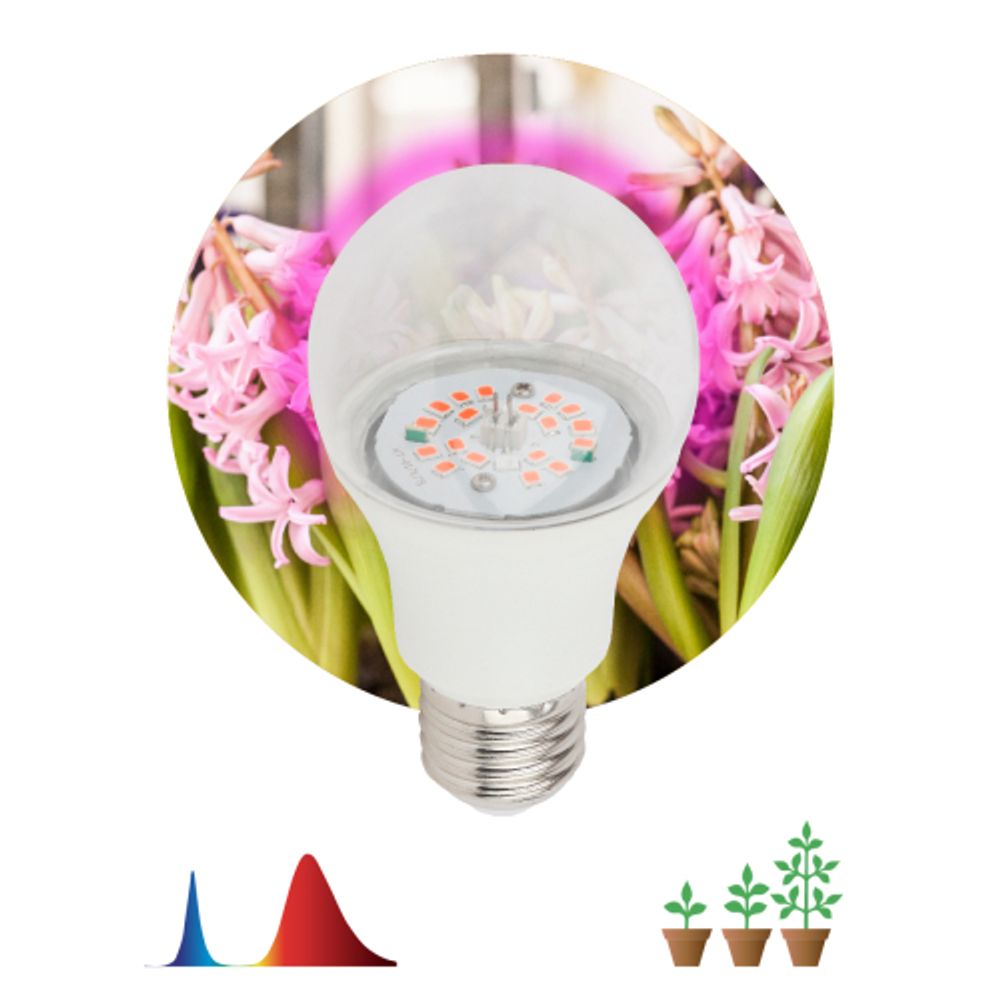Фитолампа для растений светодиодная ЭРА FITO-10W-RB-E27-K красно-синего спектра 10 Вт Е27 | Фитолампы Е27