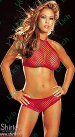 Сетевое бикини с атласной отделкой