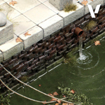 Vallejo Diorama FX Transparent Water (35ml)