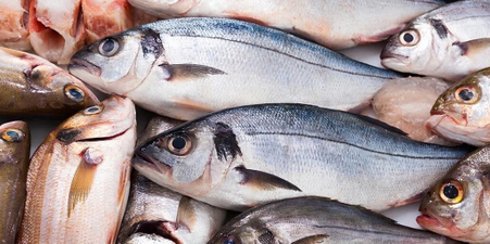 Выбор покупателей 