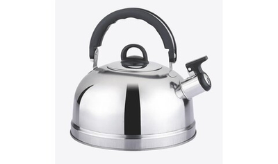 Чайник APPETITE LKD-1026 Bingo нерж 2,6л