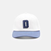  Кепка Dickies Latty Dad Cap артикул:DK0A888EC481 - купить в магазине Дайс