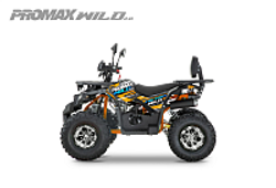 Квадроцикл PROMAX WILD 2.0 190 PRO (2025)