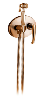 Встраиваемый гигиенический душ AltroBagno Beatrice 060114 ROr