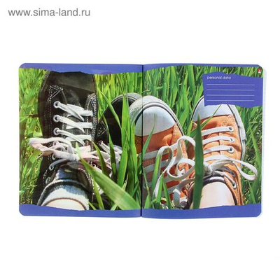 Тетрадь 48 листов в клетку Кедомания , обложка мелованный картон, гибридный лак, МИКС